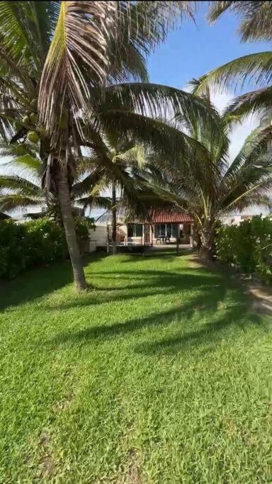 Casa Mana: Beachfront Home W/Pool On Playa Blanca Zihuatanejo Exterior foto